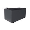 Dee Zee BLK/LIQ/TRNS TANK 110 GAL (STEEL) 2FTX2FTX4FT RECTANGLE DZ91753SB